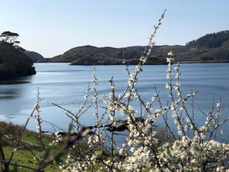 Lough Hyne Cottage Skibbereen Extérieur photo